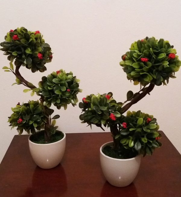 bonsai artificial