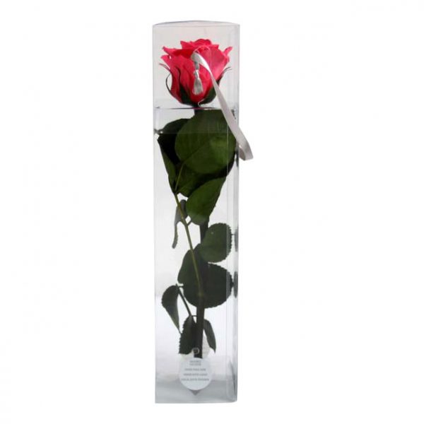 Trandafir Stabilizat Rosu