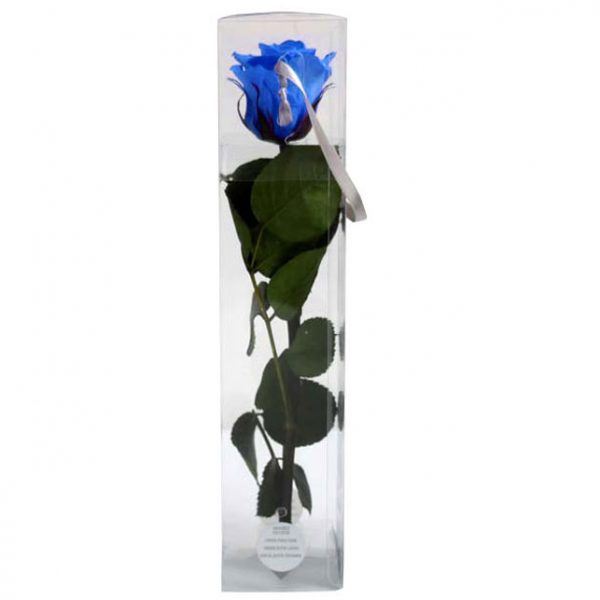 Trandafir Stabilizat Albastru