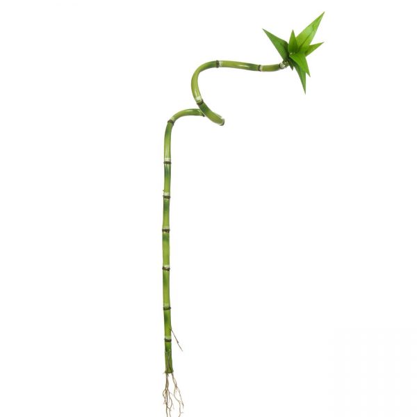 Fir de bambus artificial, Verde, 53 cm